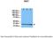 Inhibitor of growth protein 1 antibody, 30-622, ProSci, Enzyme Linked Immunosorbent Assay image 