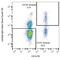 Ig Lambda Light Chain antibody, NBP1-79124, Novus Biologicals, Flow Cytometry image 