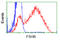 Follicle Stimulating Hormone Subunit Beta antibody, TA501604, Origene, Flow Cytometry image 