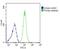 Sodium Channel Epithelial 1 Alpha Subunit antibody, 63-651, ProSci, Immunohistochemistry paraffin image 