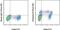 Granzyme M antibody, 50-9774-42, Invitrogen Antibodies, Flow Cytometry image 