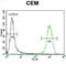 Activating Transcription Factor 3 antibody, abx028913, Abbexa, Flow Cytometry image 
