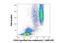 CD16 antibody, NBP2-37713, Novus Biologicals, Flow Cytometry image 
