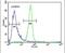 Ankyrin Repeat Domain 52 antibody, PA5-24295, Invitrogen Antibodies, Flow Cytometry image 