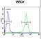 ATP Synthase F1 Subunit Beta antibody, LS-B10700, Lifespan Biosciences, Flow Cytometry image 