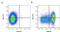 CD1b Molecule antibody, NB100-65315, Novus Biologicals, Flow Cytometry image 