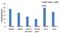 Poly(ADP-Ribose) Polymerase 1 antibody, MA5-15031, Invitrogen Antibodies, Chromatin Immunoprecipitation image 