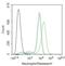 Elastase, Neutrophil Expressed antibody, GTX03641, GeneTex, Flow Cytometry image 