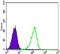 Coactivator Associated Arginine Methyltransferase 1 antibody, NBP2-37645, Novus Biologicals, Flow Cytometry image 