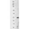 Superoxide Dismutase 2 antibody, 13004, QED Bioscience, Western Blot image 