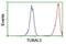 Tubulin Alpha Like 3 antibody, NBP2-01476, Novus Biologicals, Flow Cytometry image 