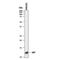 Macrophage Migration Inhibitory Factor antibody, MAB19781, R&D Systems, Flow Cytometry image 