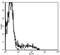 KLRD1 antibody, 11-0949-42, Invitrogen Antibodies, Flow Cytometry image 