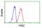 Pim-2 Proto-Oncogene, Serine/Threonine Kinase antibody, GTX83887, GeneTex, Flow Cytometry image 