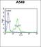 Proteasome 26S Subunit, Non-ATPase 6 antibody, orb214936, Biorbyt, Flow Cytometry image 