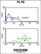 Eukaryotic Translation Initiation Factor 4E antibody, 60-601, ProSci, Flow Cytometry image 