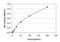 Influenza A H1N1 Nucleoprotein antibody, NB100-56570, Novus Biologicals, Enzyme Linked Immunosorbent Assay image 