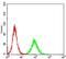 Cyclin E1 antibody, NBP2-37247, Novus Biologicals, Flow Cytometry image 