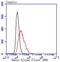 Death Domain Associated Protein antibody, NBP2-67614, Novus Biologicals, Flow Cytometry image 