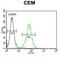 Neurexophilin 4 antibody, abx026137, Abbexa, Flow Cytometry image 