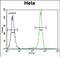 Protocadherin Beta 10 antibody, PA5-71568, Invitrogen Antibodies, Flow Cytometry image 