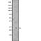 RAB7A, Member RAS Oncogene Family antibody, abx218134, Abbexa, Western Blot image 