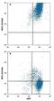 Solute Carrier Family 16 Member 1 antibody, FAB8275A, R&D Systems, Flow Cytometry image 