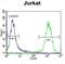 CUGBP Elav-Like Family Member 3 antibody, abx027201, Abbexa, Flow Cytometry image 