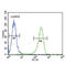 Plasminogen Activator, Tissue Type antibody, abx032978, Abbexa, Flow Cytometry image 