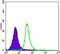 SMAD Family Member 5 antibody, MA5-15793, Invitrogen Antibodies, Flow Cytometry image 