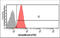 Autophagy Related 3 antibody, GTX57724, GeneTex, Flow Cytometry image 