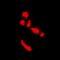 Peptidyl Arginine Deiminase 4 antibody, abx142073, Abbexa, Western Blot image 