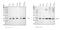 Cyclin Dependent Kinase 4 antibody, PB9535, Boster Biological Technology, Western Blot image 