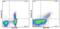 FOXP3 antibody, 12-4777-42, Invitrogen Antibodies, Flow Cytometry image 