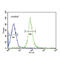 Haptoglobin antibody, abx034163, Abbexa, Flow Cytometry image 