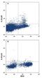 IL-12 antibody, IC17161P, R&D Systems, Flow Cytometry image 