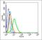 Leucine Rich Repeat Containing 39 antibody, orb157823, Biorbyt, Flow Cytometry image 