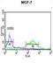 ETS Proto-Oncogene 2, Transcription Factor antibody, abx034538, Abbexa, Flow Cytometry image 