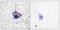 Neurotrophic Receptor Tyrosine Kinase 1 antibody, A00706Y791, Boster Biological Technology, Immunohistochemistry paraffin image 