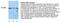 Ribosomal Protein S6 Kinase A1 antibody, AHO1472, Invitrogen Antibodies, Western Blot image 