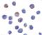 DEAD-Box Helicase 3 X-Linked antibody, PA5-20224, Invitrogen Antibodies, Immunocytochemistry image 