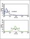 Acyl-CoA Thioesterase 8 antibody, PA5-26152, Invitrogen Antibodies, Flow Cytometry image 