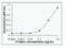 Alpha-1-antitrypsin antibody, XW-7000, ProSci, Enzyme Linked Immunosorbent Assay image 