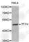 Tetratricopeptide Repeat Domain 4 antibody, A4171, ABclonal Technology, Western Blot image 
