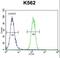 Forkhead Box I3 antibody, LS-C166228, Lifespan Biosciences, Flow Cytometry image 