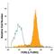 Fc Receptor Like 1 antibody, FAB2049A, R&D Systems, Flow Cytometry image 