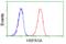 LYN Proto-Oncogene, Src Family Tyrosine Kinase antibody, orb315590, Biorbyt, Flow Cytometry image 