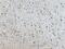 Protein Kinase C Delta antibody, 19132-1-AP, Proteintech Group, Immunohistochemistry frozen image 