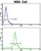 AXL Receptor Tyrosine Kinase antibody, abx033507, Abbexa, Flow Cytometry image 