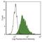 S100 Calcium Binding Protein A8 antibody, MA5-17622, Invitrogen Antibodies, Flow Cytometry image 